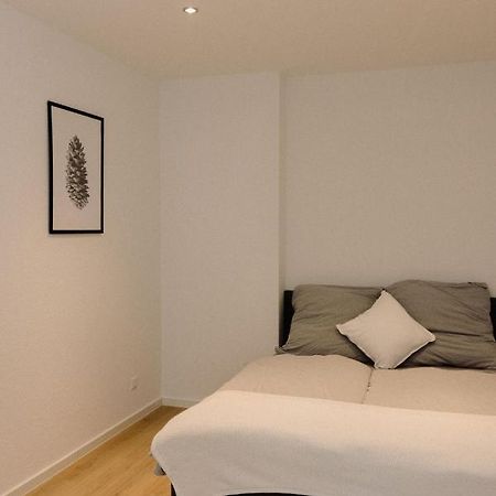 130M² Apartment Im Zentrum + Terrasse Leipzig Luaran gambar